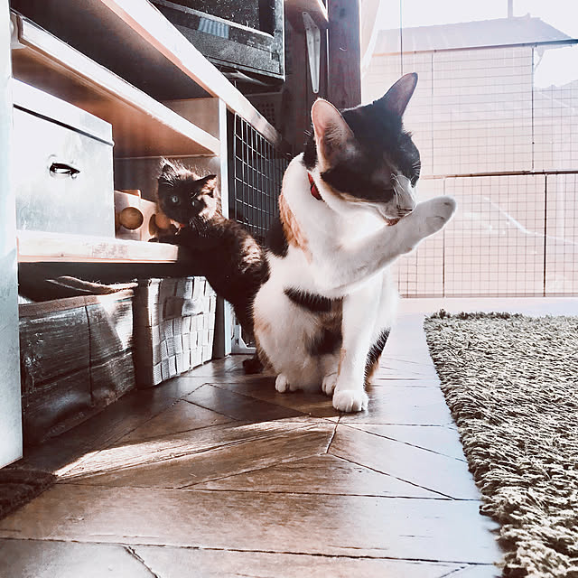 maroさんの実例写真