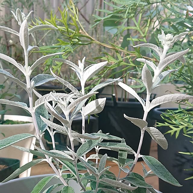souさんの部屋