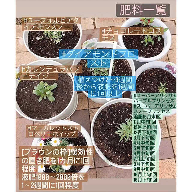 hoshimamaさんの実例写真