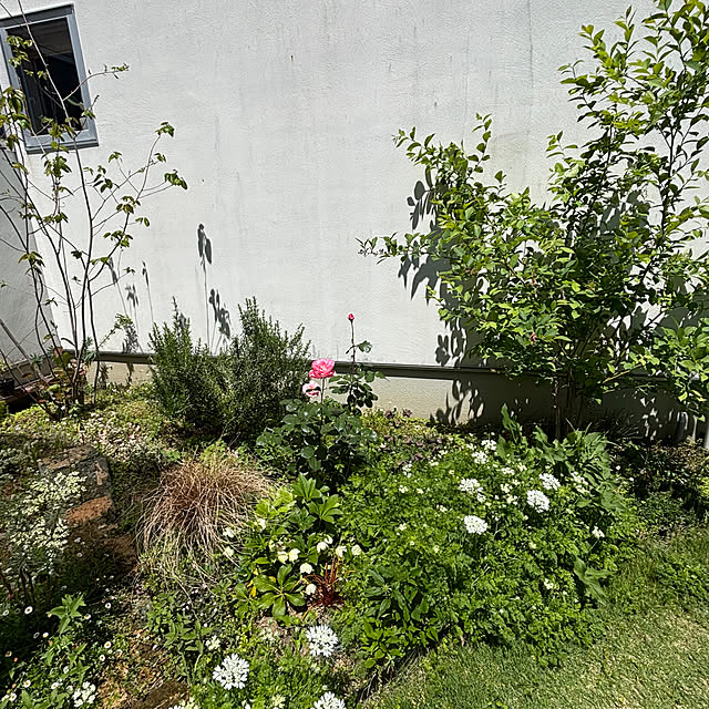 nobanaさんの実例写真