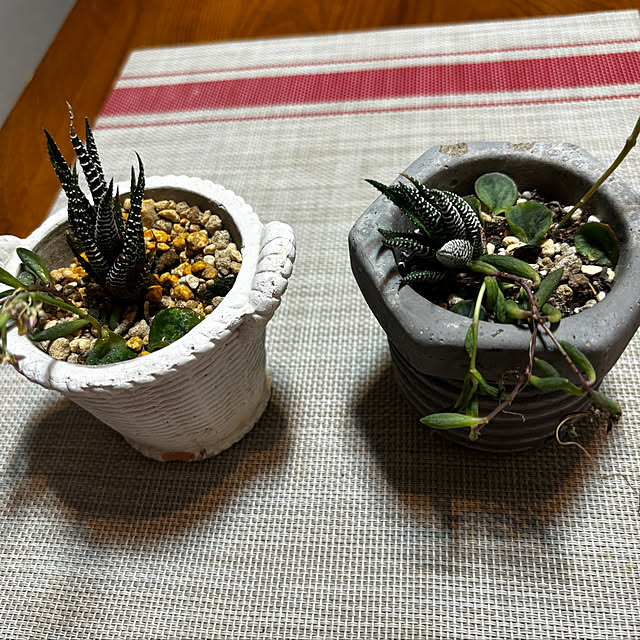 chIoeさんの部屋