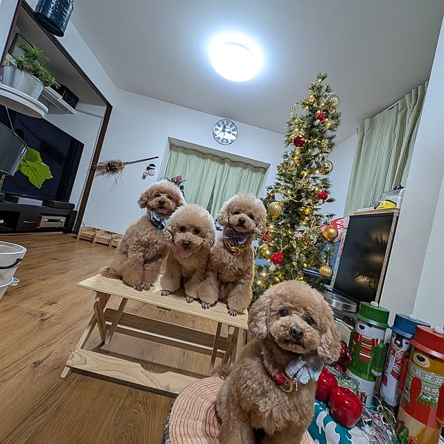 milk_hana_さんの部屋