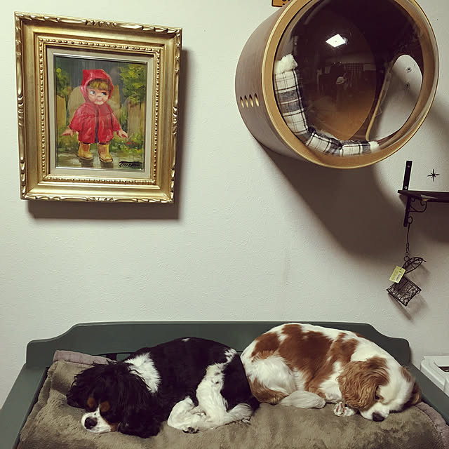happy0612さんの実例写真