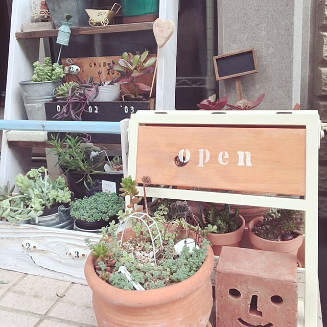 バス/トイレ/DIY/雑貨/多肉植物/リメ缶...などのインテリア実例 - 2016-04-24 12:38:45