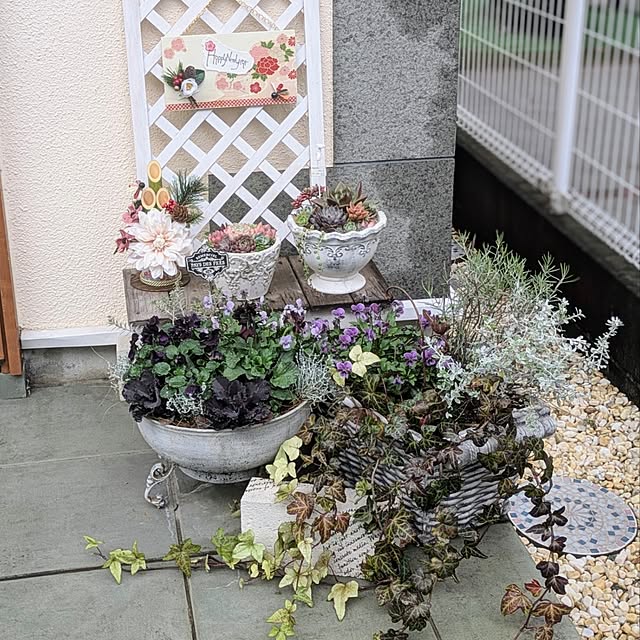 purpureさんの部屋
