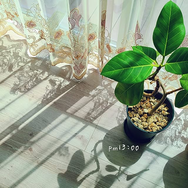 r0siereさんの部屋