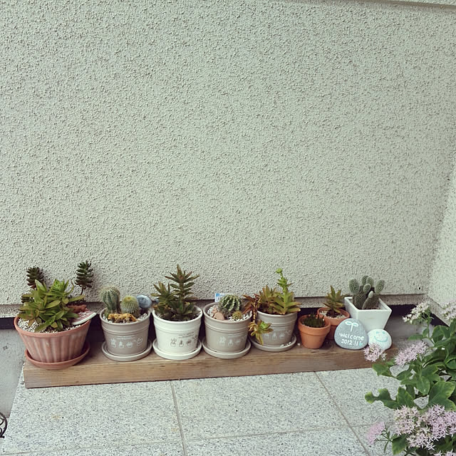 mintさんの実例写真