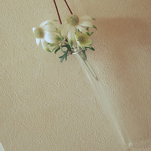 migaoさんの実例写真