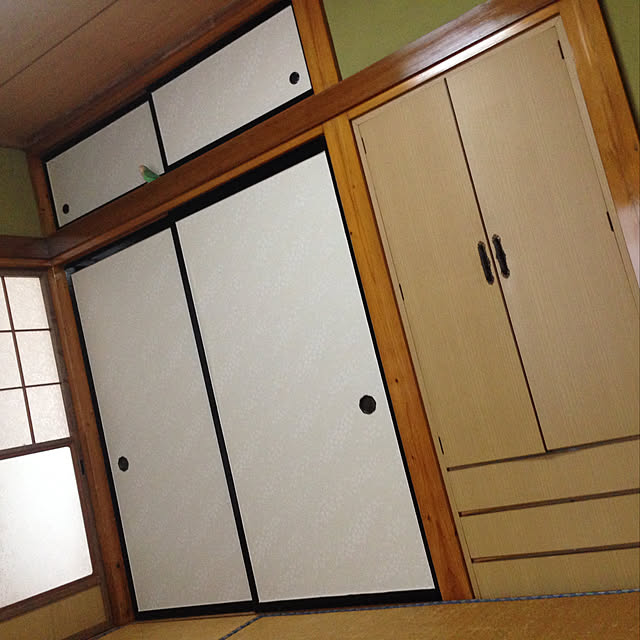 aoinokimiさんの実例写真