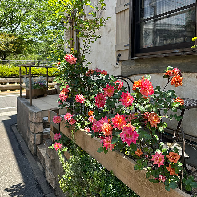 tabasaさんの実例写真