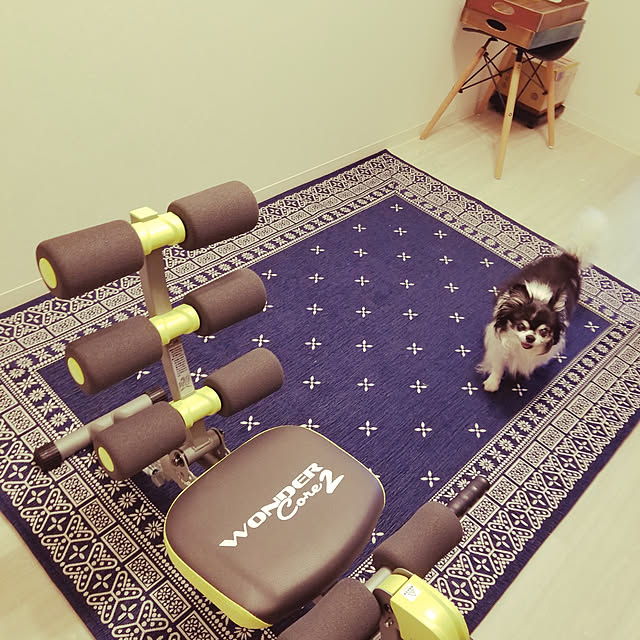 MIKEさんの実例写真