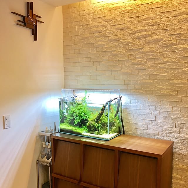 akimitsuさんの実例写真