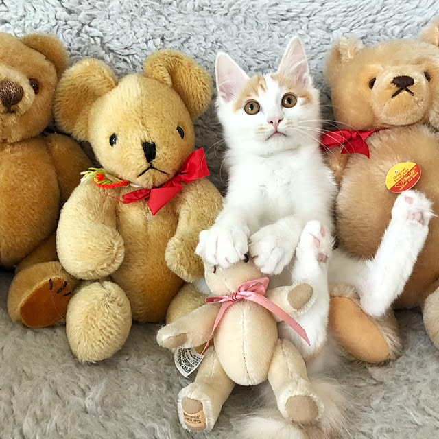 yuchiさんの実例写真