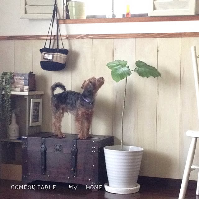 kuroさんの実例写真