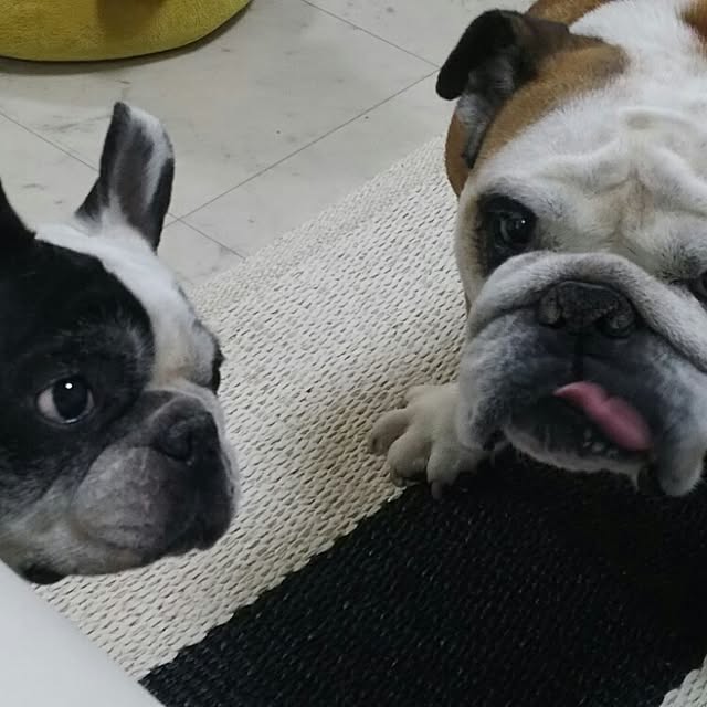 AandPさんの実例写真