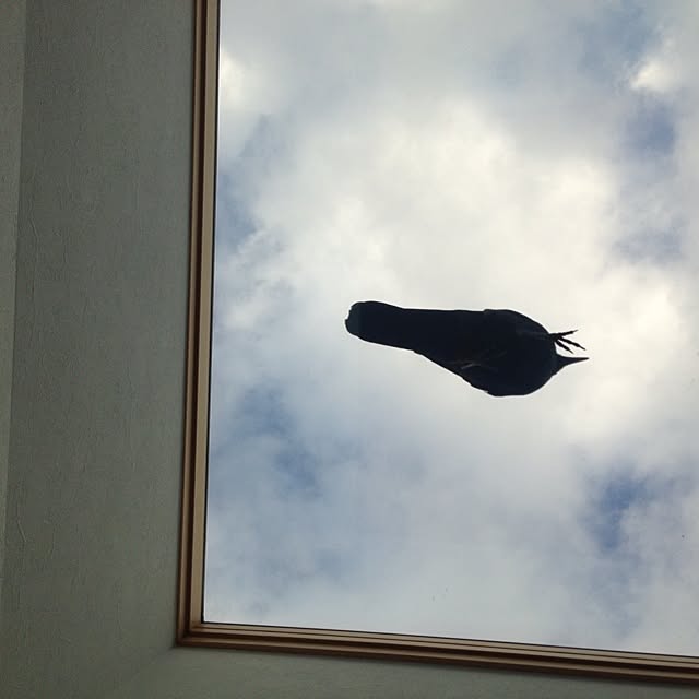 FXさんの実例写真