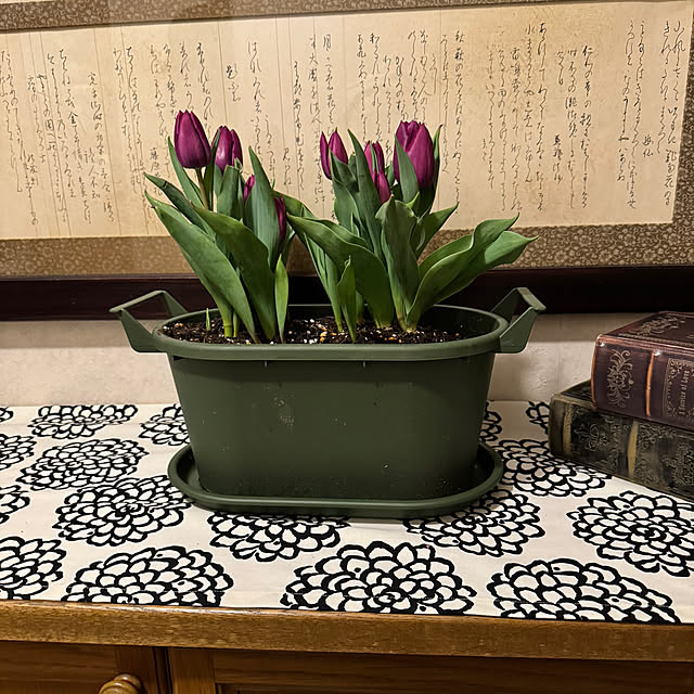 mamizaさんの部屋