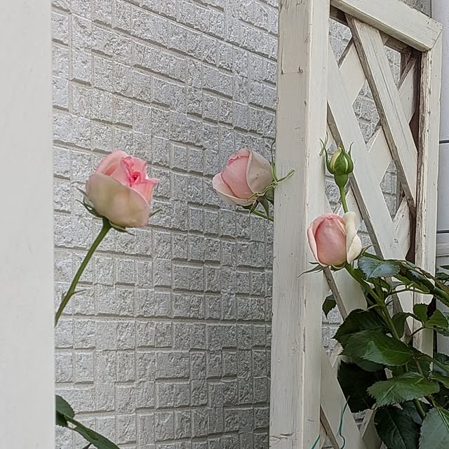 Bienvenueさんの実例写真