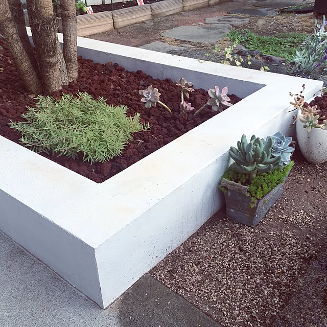 Naotoさんの実例写真