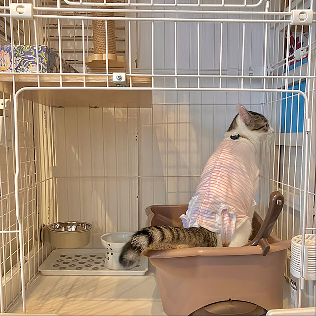 ayataroさんの部屋