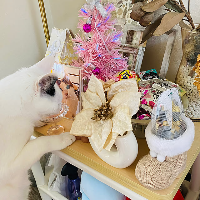 YUKAさんの部屋