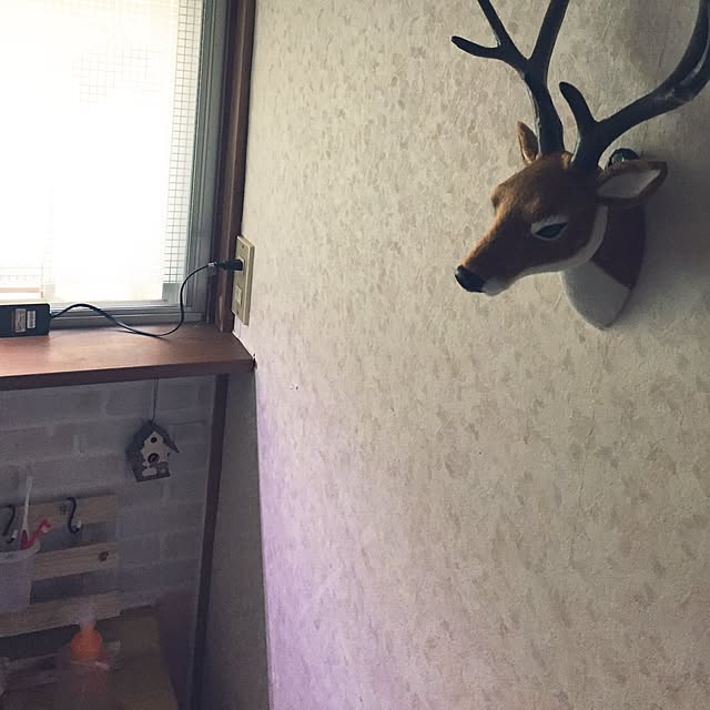fruity anさんの実例写真