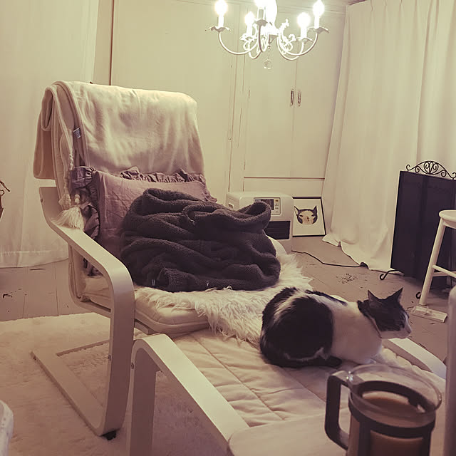 Shihoさんの実例写真