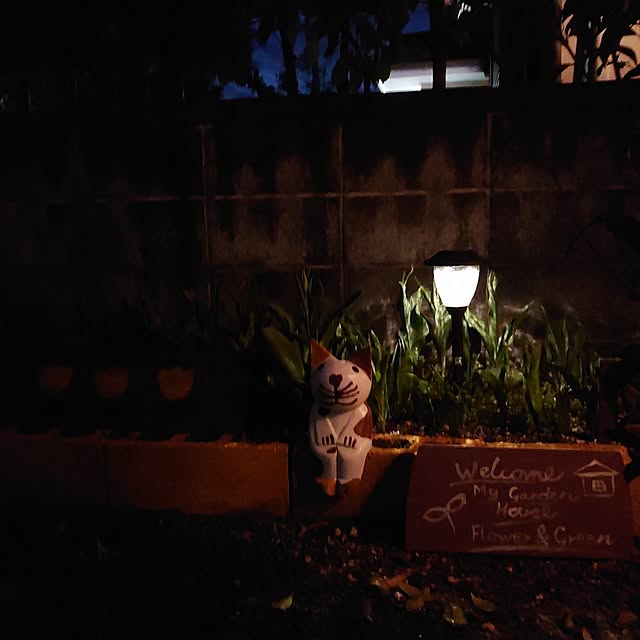 fukuさんの実例写真