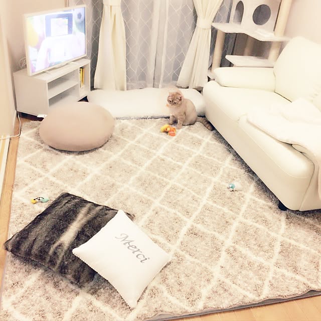 maさんの実例写真