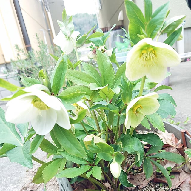 nachiさんの部屋