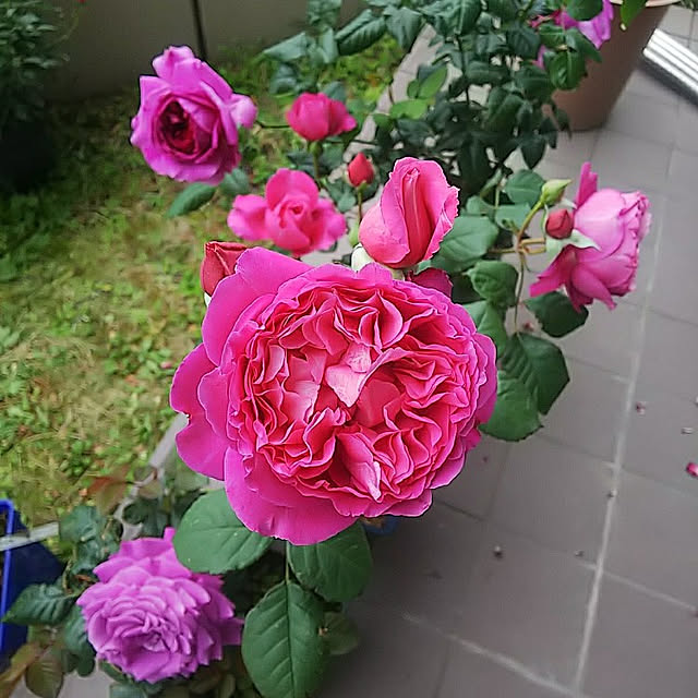 hiromimiさんの実例写真