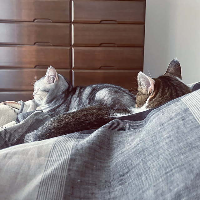 RARAさんの実例写真