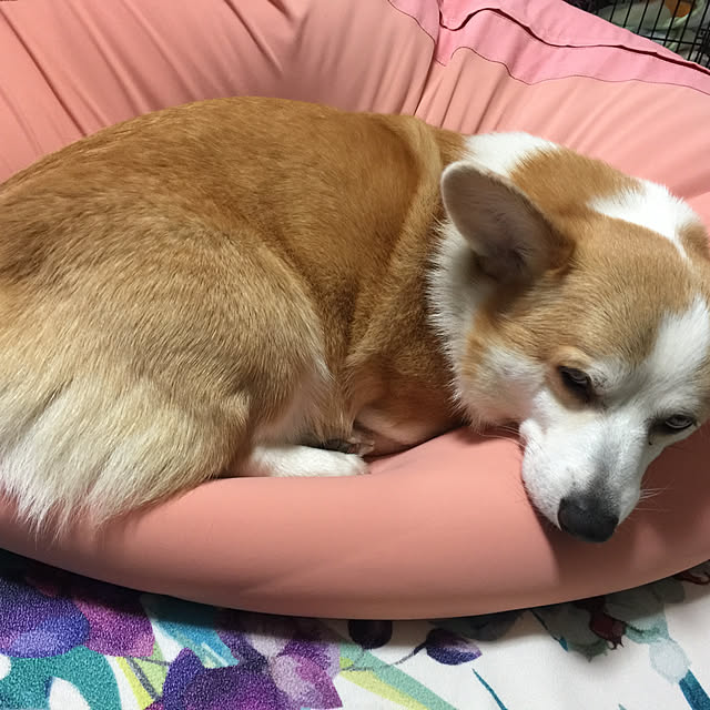 mihoさんの実例写真