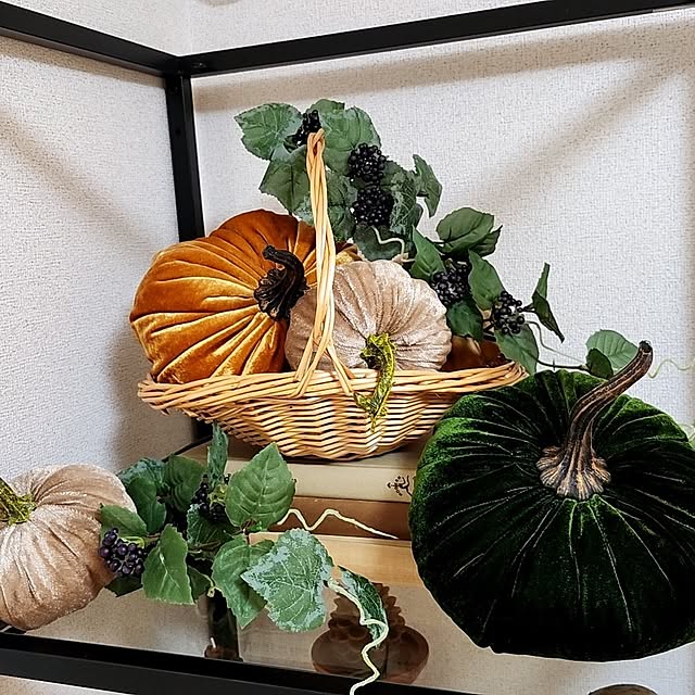 megunyさんの実例写真