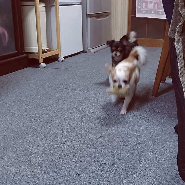 hiro-yさんの部屋