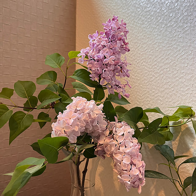 kojimasaさんの実例写真