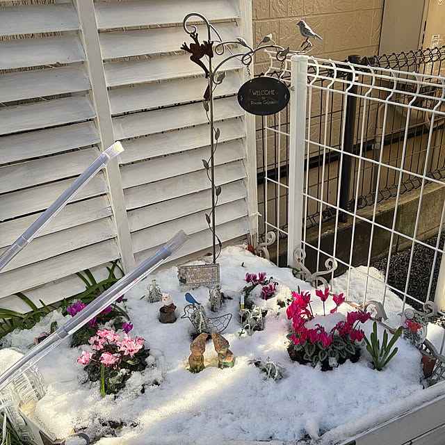 puriyuzuさんの部屋