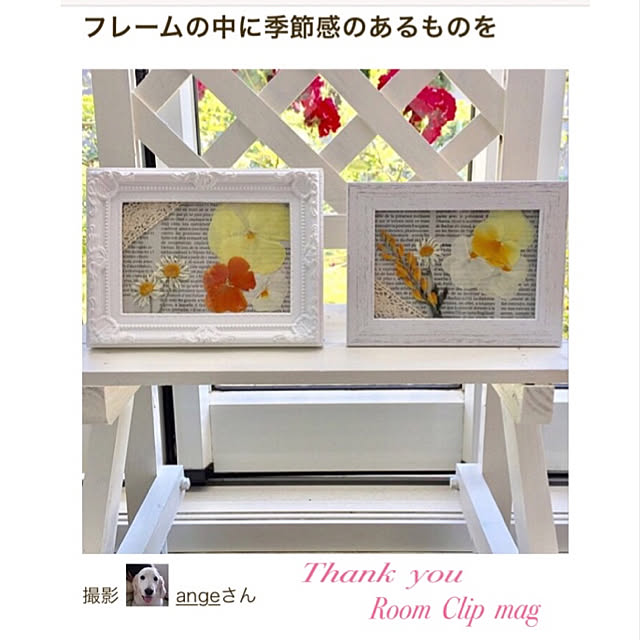 angeさんの実例写真