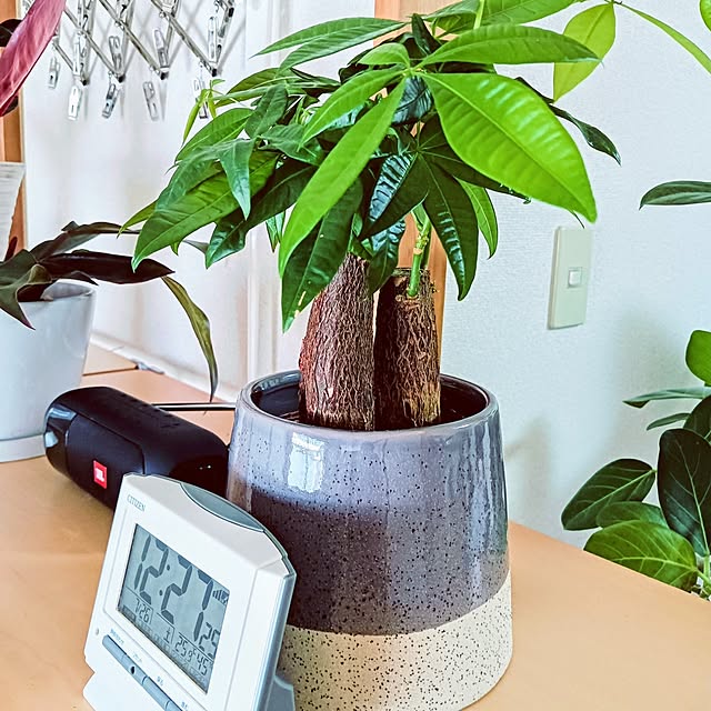 hanachanさんの実例写真