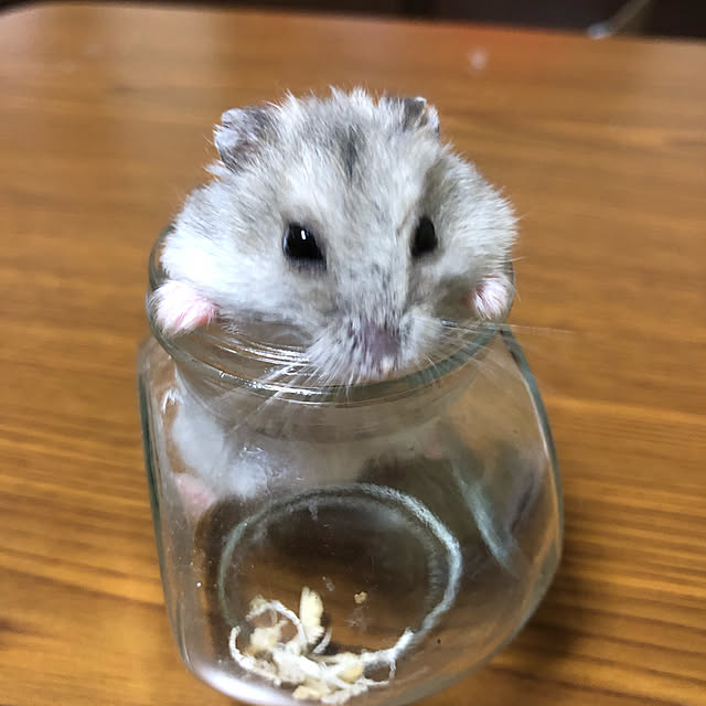 Miwakoさんの実例写真