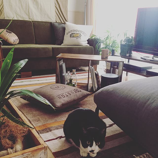 mikasakuさんの実例写真