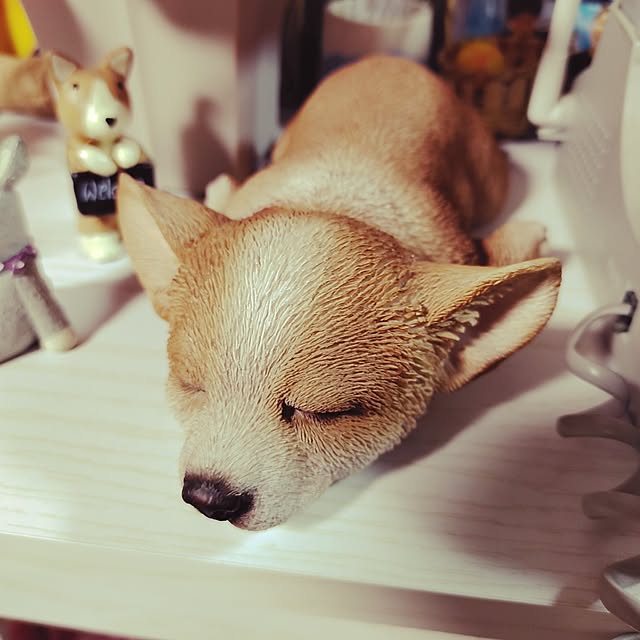 kiraさんの部屋