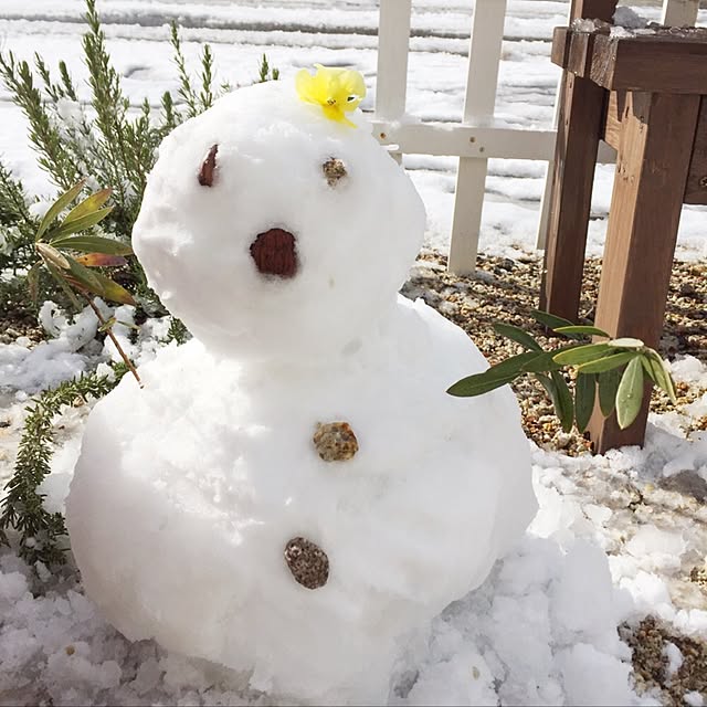 tiaraさんの実例写真