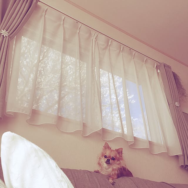 rinrinさんの実例写真