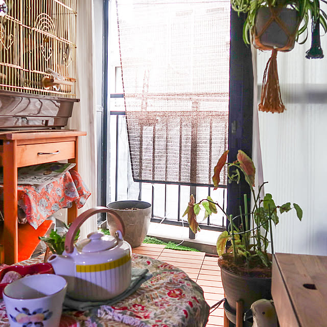 parrotさんの部屋