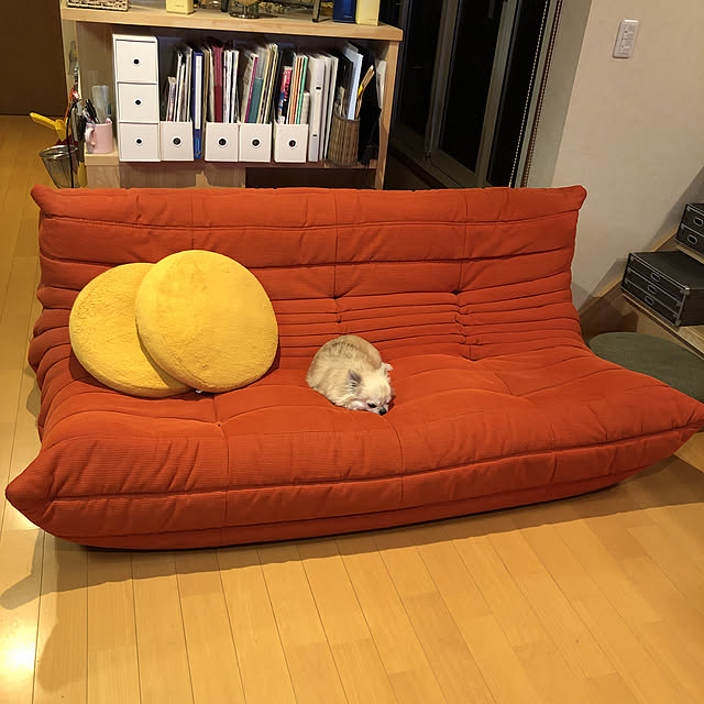 実例写真