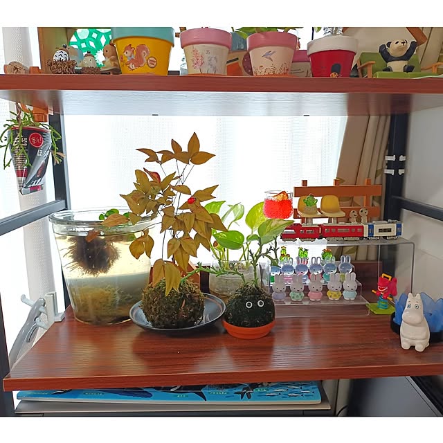 tomo5さんの部屋