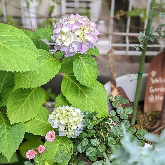 junさんの部屋