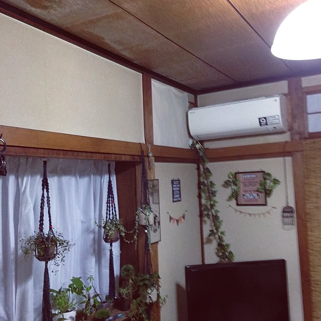 mikyuさんの実例写真