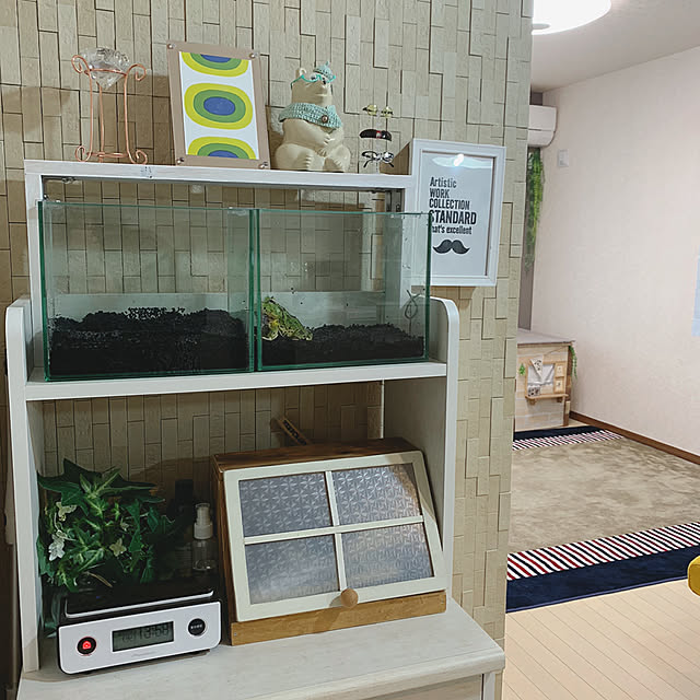 Samさんの実例写真